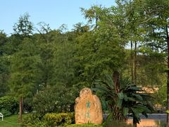 -云溪植物园