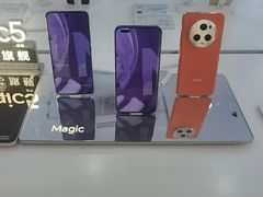 -荣耀授权专卖店(黄浦浙江中路店)