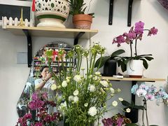 -FEI FEI FLOWER鲜花店·气球派对·宝宝宴布置(虹口德必运动Loft店)