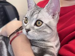 -萌兽医馆·犬猫专科·眼科中心·宠物医院(朝阳门分院)