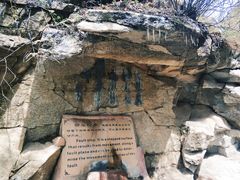 -王顺山国家森林公园