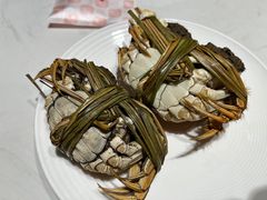螃蟹-杨氏青龙虾·羊蝎子(托乐嘉店)