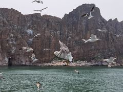 -长岛南北长山旅游景区