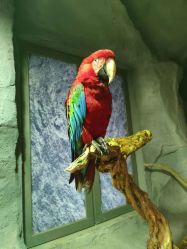 -Zoolung Zoolung动物主题公园(海信广场店)