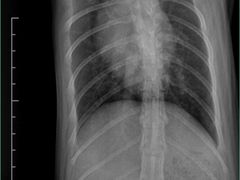 -瑞鹏宠物医院·宠保定点·心脏科·内科(御桥分院)