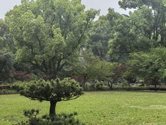 -申粤轩酒楼·三十年粤菜经典(丁香花园店)
