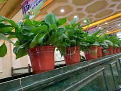 大堂-瑞杰烧烤店·24小时营业(山东路店)