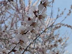 -白水寺森林公园