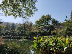 -杭州花家山庄
