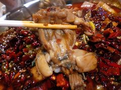 牛蛙-宽口美蛙鱼头(大唐西市店)