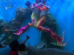 -瑞德姆美人鱼海底演艺主题餐厅(亚龙湾店)