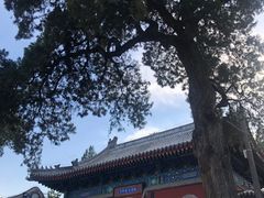 -大觉寺-停车场