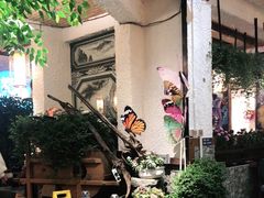 -大理董·董家小厨野生菌火锅(古城旗舰店)