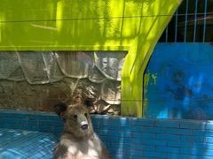 -荆州中山公园动物园