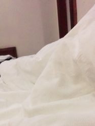 -陶然花园·婚宴