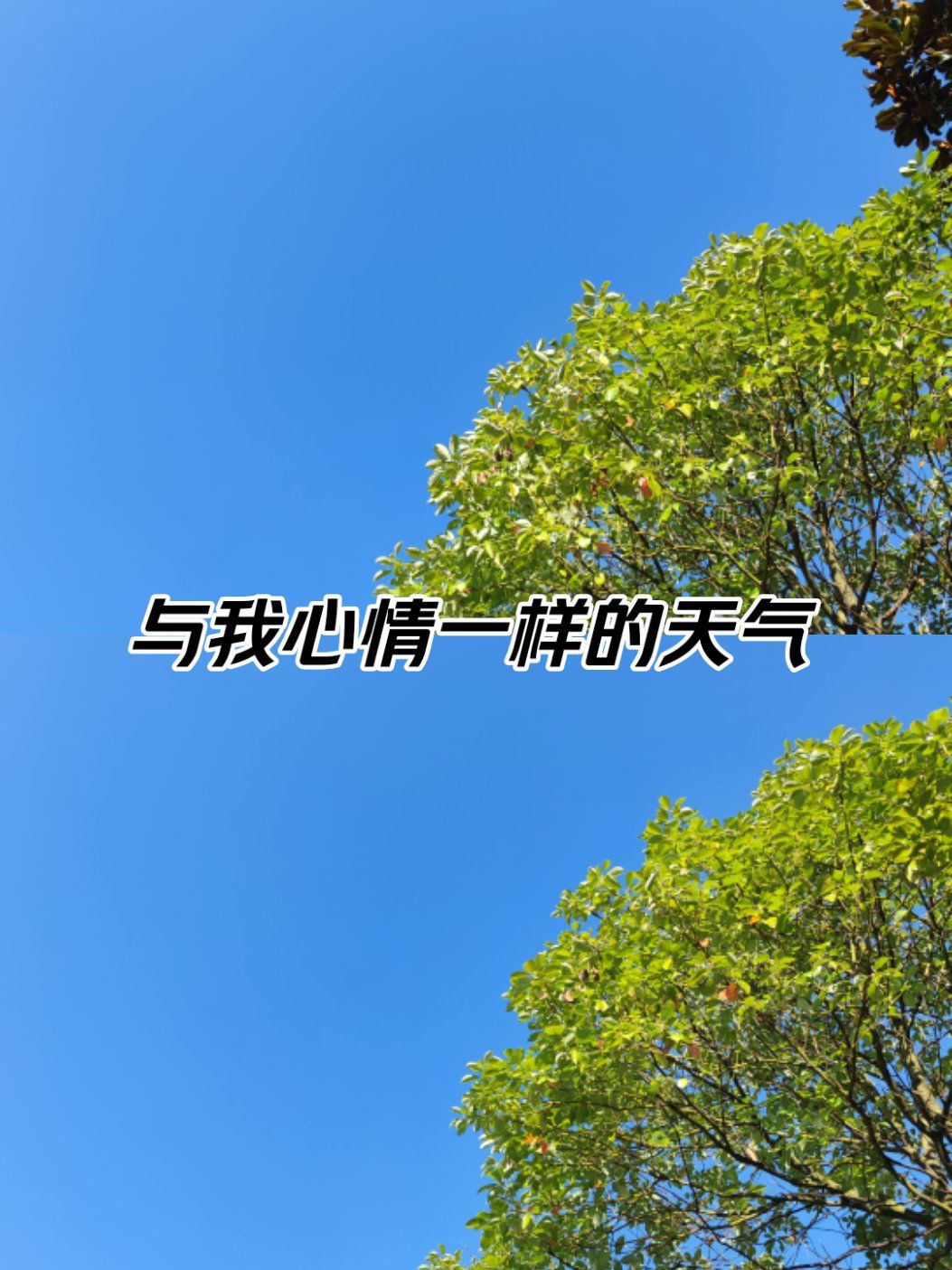 十一月份天气预报