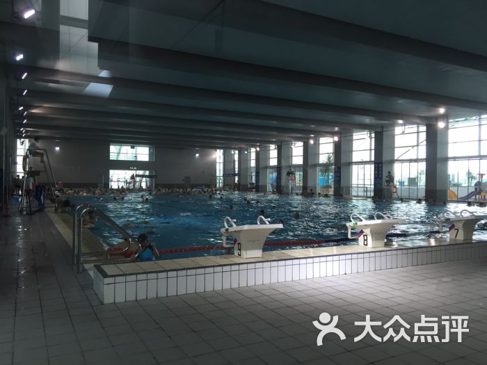 东方体育中心游泳馆图片