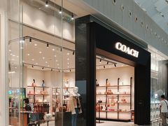 -COACH(深圳宝安国际机场T3航站楼店)