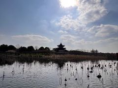 -上海海湾国家森林公园