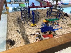 -龟与熊猫宠物公园(南坪店)