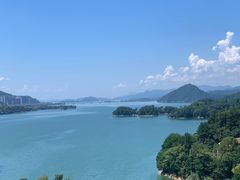 -浔味·山屿湖·正宗淳牌全鱼宴老字号
