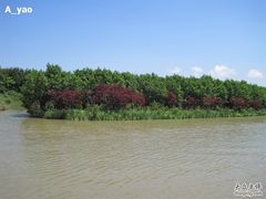 -大湾区中央湿地公园