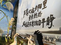 -中国湿地博物馆