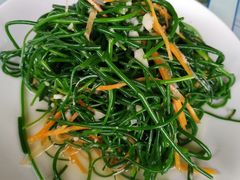 -许记驴肉黄面胡杨焖饼