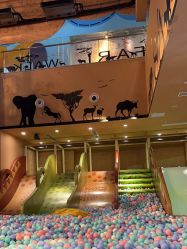 点击看大图 -卡通尼·Safari非洲探索乐园·生日会(金桥国际商业广场店)