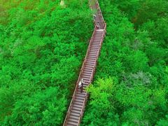-大岭沟猕猴桃谷风景区