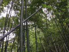 -宝岩生态观光园