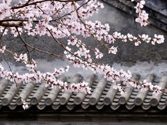 -三里河公园