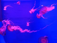 -多彩贵州城极地海洋世界