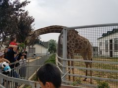 -临沂动植物园