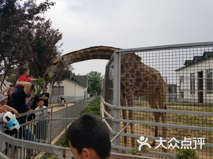 臨沂動植物園圖片 - 第4張