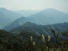 -江西阳明山国家森林公园