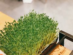 活体豆苗-煲宫猪肚鸡(晶品店)
