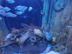 -成都浩海立方海洋公园