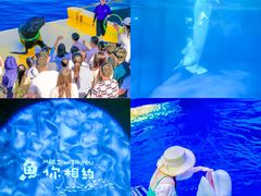 -秦皇岛乐岛海洋王国