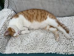 -VOYAGE COFFEE(北锣鼓巷店)