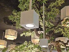 -绿茶餐厅(广州天河城店)