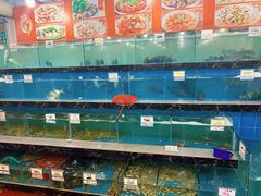水产区-源海渔村·现捞海鲜(大角湾店)