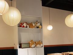 -柴迷FANS CLUB·柴犬狗咖·猫咖