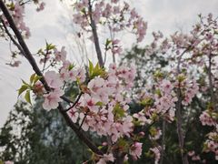 -艾溪湖湿地公园