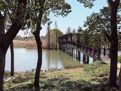 -同里国家湿地公园