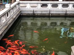 -麒麟小院·老九江菜(安平路店)