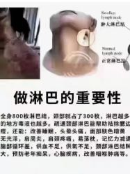 -香薇妮丝·定制减肥·身材管理