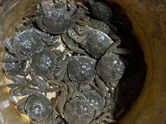 -同銮特种养殖场·龙虾垂钓