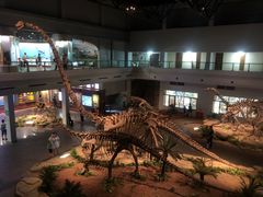 -自贡恐龙博物馆