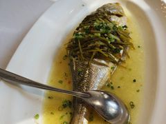 -老洋房花园饭店(绍兴路店)